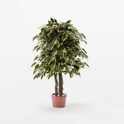 "Artificial tree Ficus 110 cm - A detailed 3D model for Blender 3D, resembling a potted plant with a green and yellow leafy tree. This versatile model allows for easy modifications such as rotating or deleting leaves to suit your scene. Created from linked copy objects and based on a real product, it offers a realistic and customizable solution for indoor nature scenes."