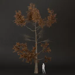 SJ-Ember Glow Pine Tree