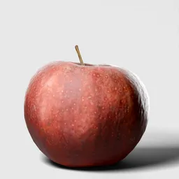 Apple – Realistic