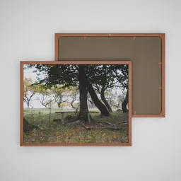 Autumn colection picture