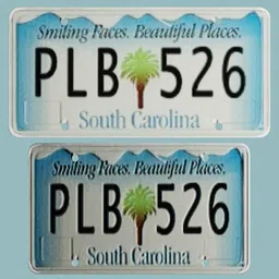 3D render of a stylized South Carolina vehicle license plate with palm tree graphic, for use in Blender models.