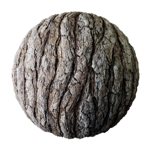 Tree Bark