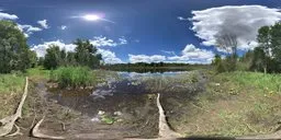 Lakeside Bluesky Cloud Grass Tree