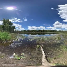 Lakeside Bluesky Cloud Grass Tree