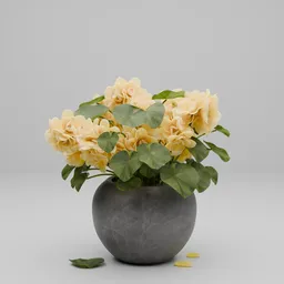 Flower in Pot