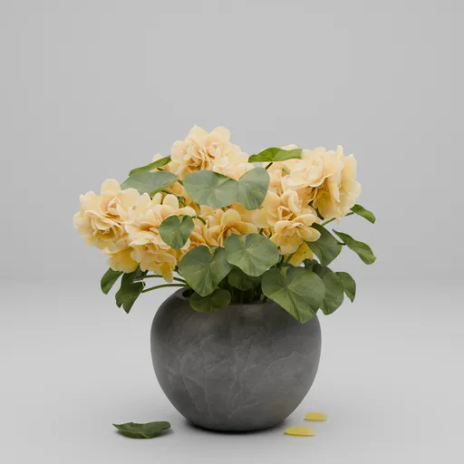 Flower in Pot
