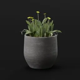 Yellow Small Flowers Pot Lrg