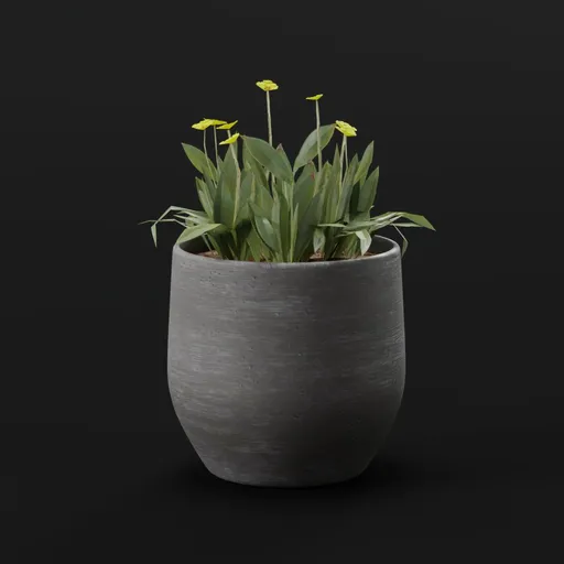 Yellow Small Flowers Pot Lrg