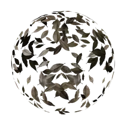 Dry leaves