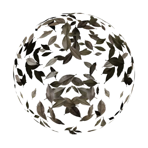 Dry leaves