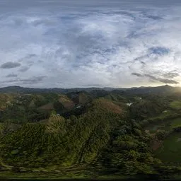 Sunshine, Sunrise, Forest HDR