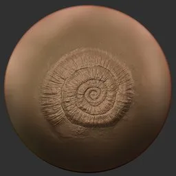 ER Fossil Brush-ammonites
