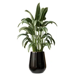 Detailed 3D model of Bird of Paradise plant in a sleek vase with high-resolution textures, perfect for Blender rendering.