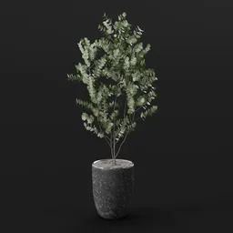 Eucalyptus Tree Marble Pot