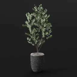 Eucalyptus Tree Marble Pot