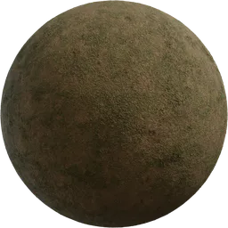 Grass Ground