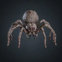 Broodmother Spider Rigged Game Ready