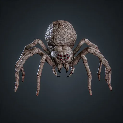 Broodmother Spider Rigged Game Ready