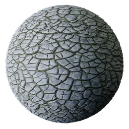 Soil Cracked Gray