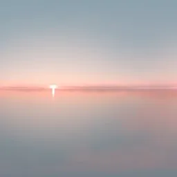 Early Morning Light
