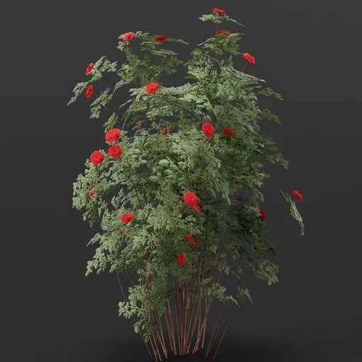 Detailed 3D rose bush model with customizable colors for Blender, suitable for game assets and virtual environments.