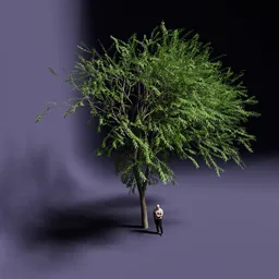 Realistic Blender 3D model of lush green tree for virtual landscaping and architectural visualization.