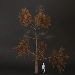 SJ-Cold Nest Pine Tree