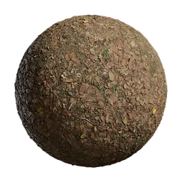 Deciduous Forest Ground