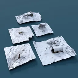 Winter forest 3d scans