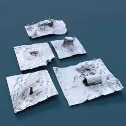 Winter forest 3d scans