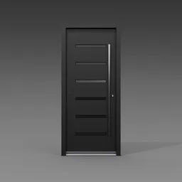 Linear Glass Door