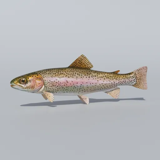 Trout Animated