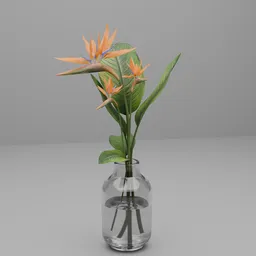 Bird of Paradise Flower