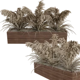 Detailed 3D model of pampas and dry grass in a wooden box, designed for Blender rendering.