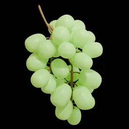 Fresh Green Grape Cluster