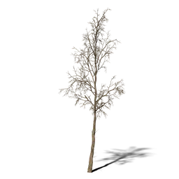 Realistic 3D model of leafless dead tree optimized for Blender rendering, suitable for environmental design.