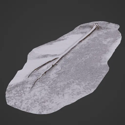 Drift Wood on Ice Photoscan