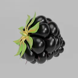 Realistic Blender 3D render of a juicy blackberry, perfect for culinary visualizations and digital art.