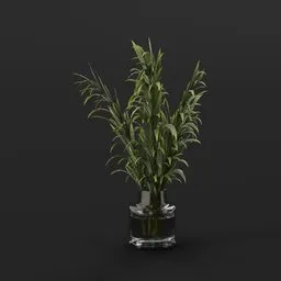 Green Reed Plant