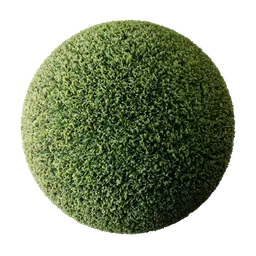Green grass or lawn