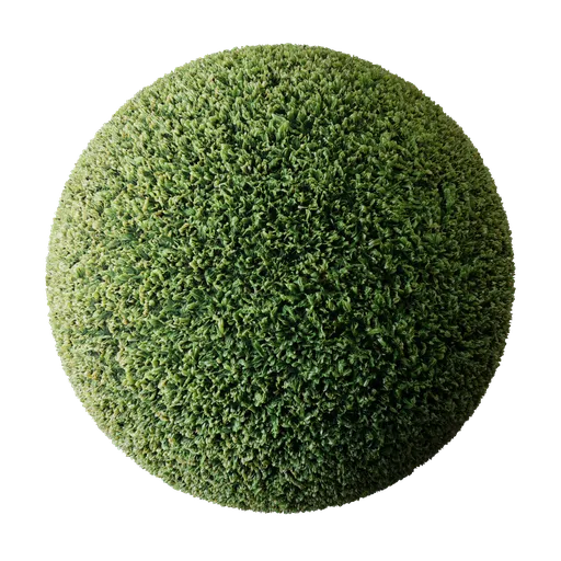 Green grass or lawn