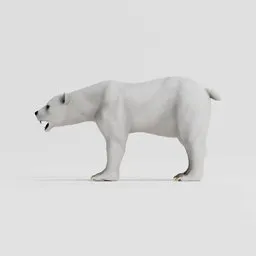 Polar Bear Rigged