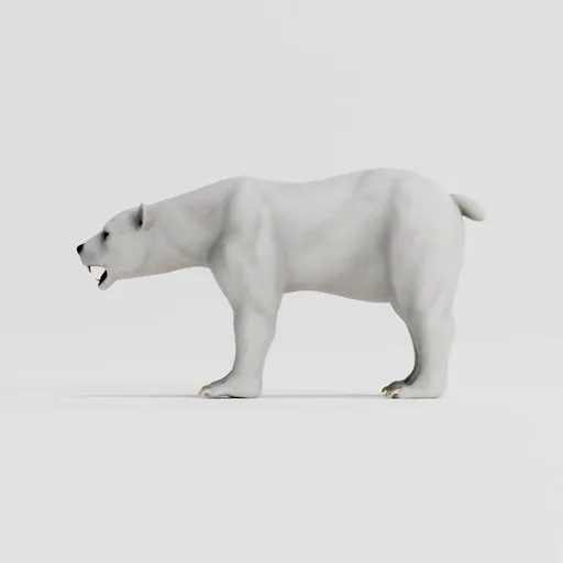 Polar Bear Rigged