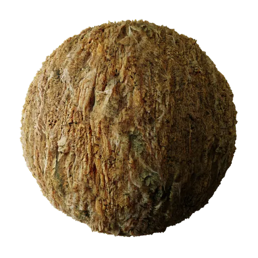 Tree Bark