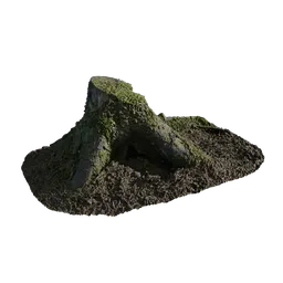 Mossy Stump