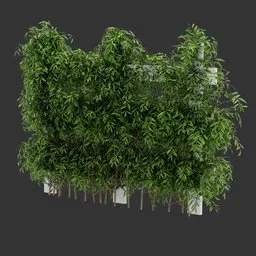 Divider Fence Climber Plant