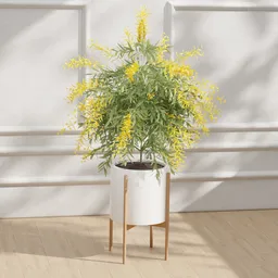 Yellow Flower Potted Plant