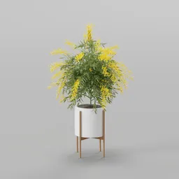Yellow Flower Potted Plant