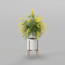 Yellow Flower Potted Plant