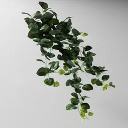 "Artificial tendril Fitonia green v2: A highly detailed 3D model of a plant resembling ivy, inspired by Per Kirkeby's work, with basil leaves as foliage. Created using the Bagapia add-on on Blender 3D and featuring geometry nodes, this model is perfect for nature-inspired indoor scenes."